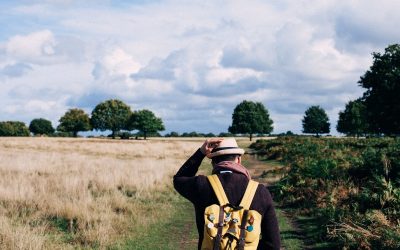 Why is Customised Backpacks a Good Business Idea?